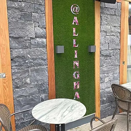 Hotel Allingham Arms Bundoran